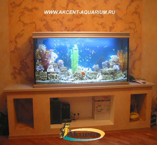 Акцент-аквариум,аквариум 600 литров прямоугольный